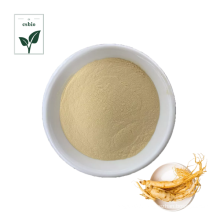 Hot Sale Ginseng Extract Powder